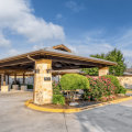 The Ultimate Guide to Scheduling Detailing Services in Round Rock, TX: An Expert's Perspective